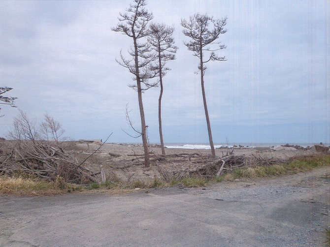 �͐�̔r���|���v�{��