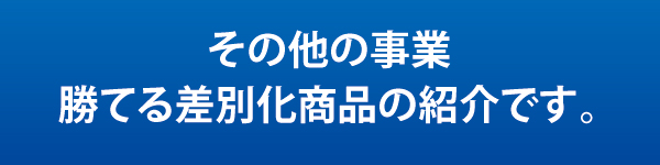 ���̑��̎���